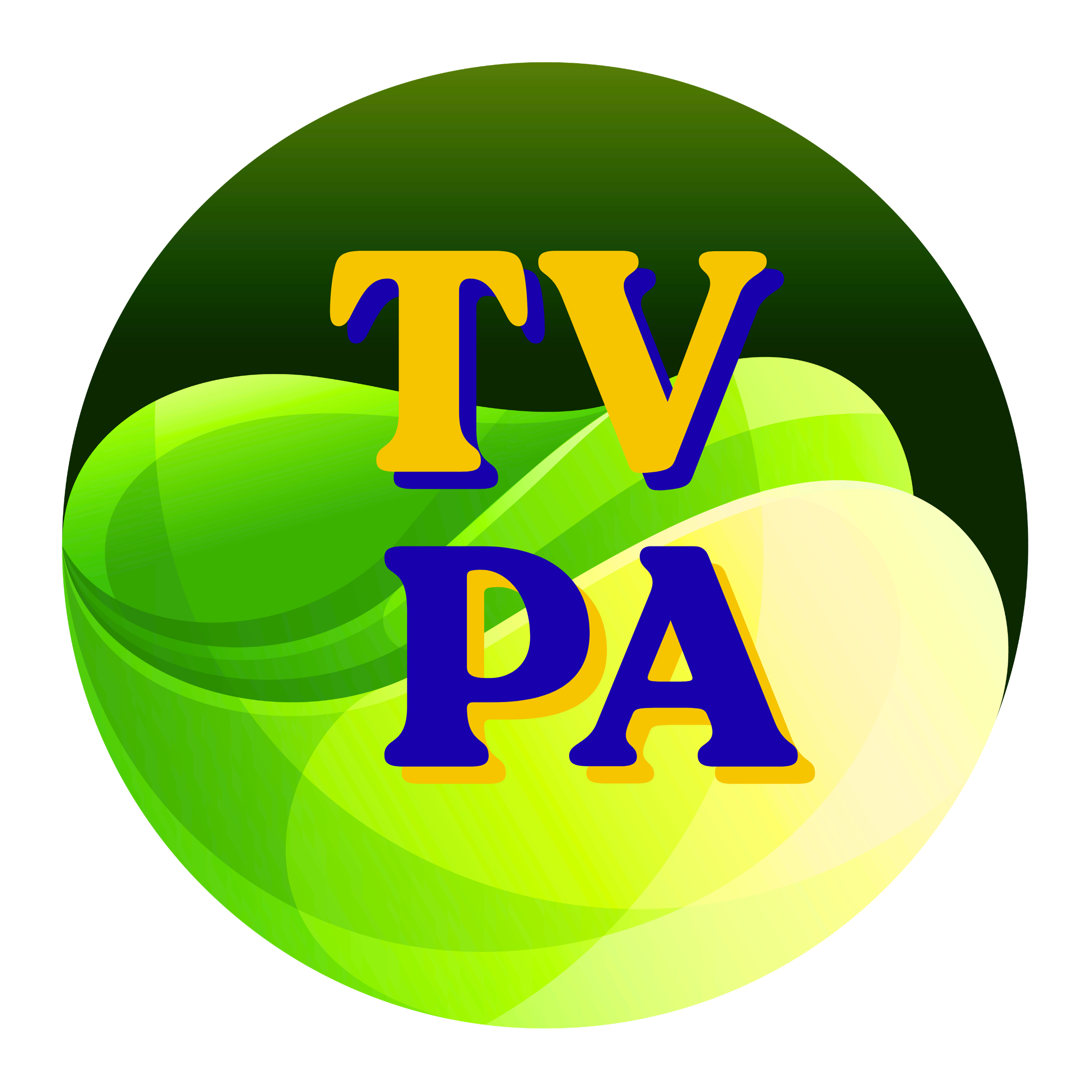 Logo TV ESTADO DO PARÁ