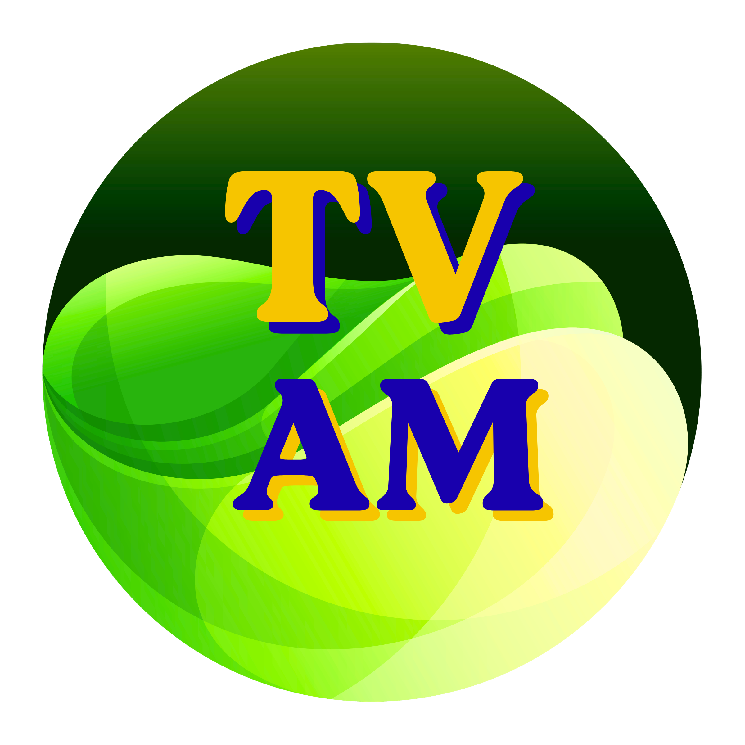 Logo TV ESTADO DO AMAZONAS